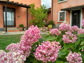 B&B Dama
